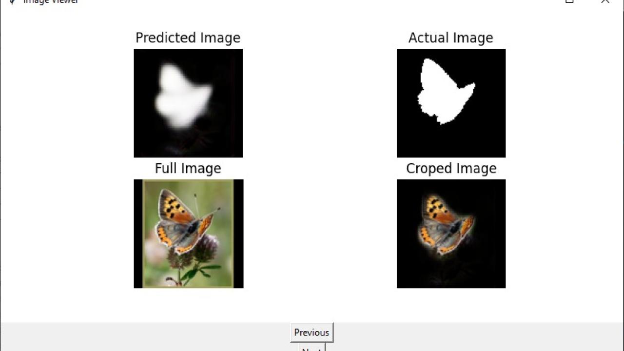 segmentador de mariposa